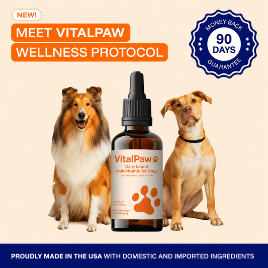 The Complete Daily Formula That Replaces 5+ Supplements Your Dog Won't Take