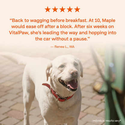 The Complete Daily Formula That Replaces 5+ Supplements Your Dog Won't Take