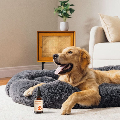 The Complete Daily Formula That Replaces 5+ Supplements Your Dog Won't Take