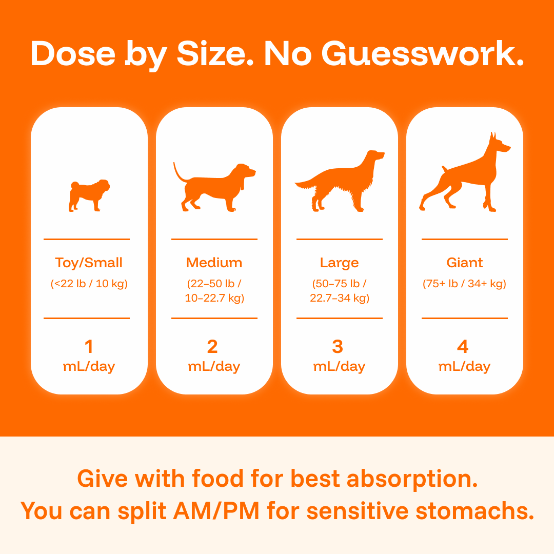 The Complete Daily Formula That Replaces 5+ Supplements Your Dog Won't Take