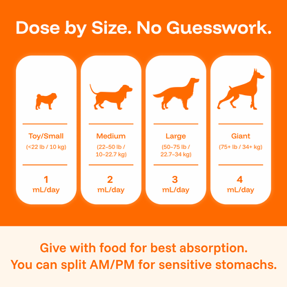The Complete Daily Formula That Replaces 5+ Supplements Your Dog Won't Take