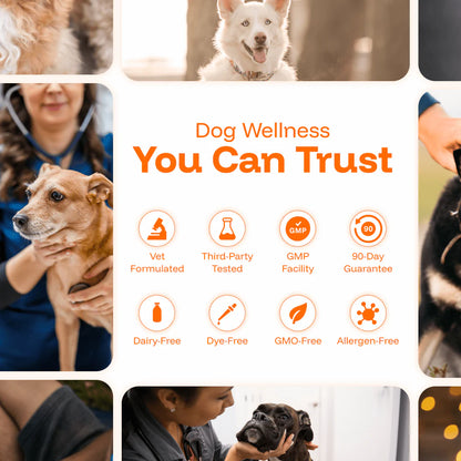 The Complete Daily Formula That Replaces 5+ Supplements Your Dog Won't Take