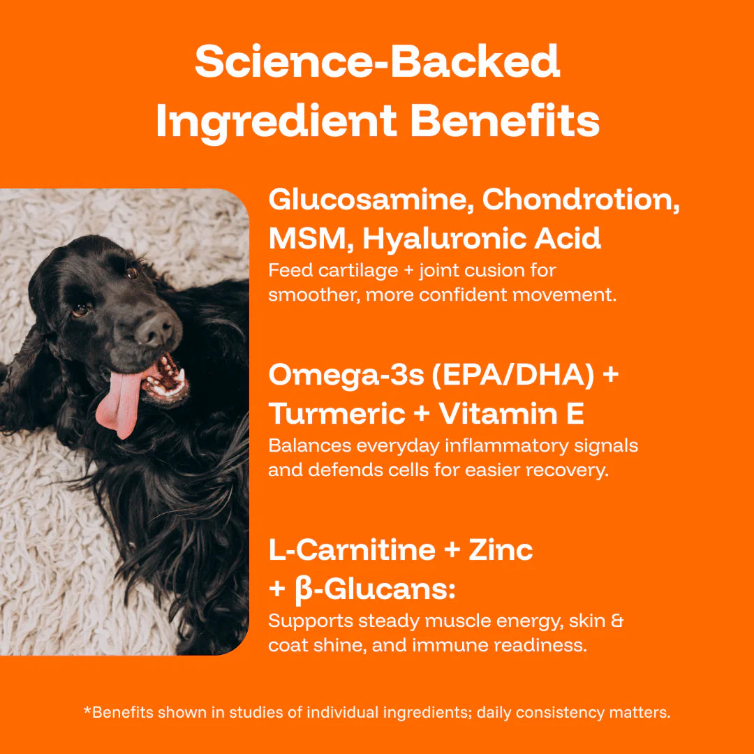 The Complete Daily Formula That Replaces 5+ Supplements Your Dog Won't Take